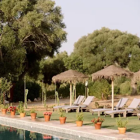 Airstream Oasis: Unique Retreat Near Andalucia's Beaches And Nature Haven! Holiday home El Soto